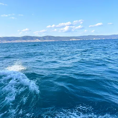 Sea