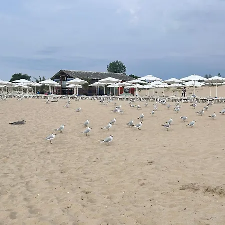 Sea Lejlighed Sunny Beach